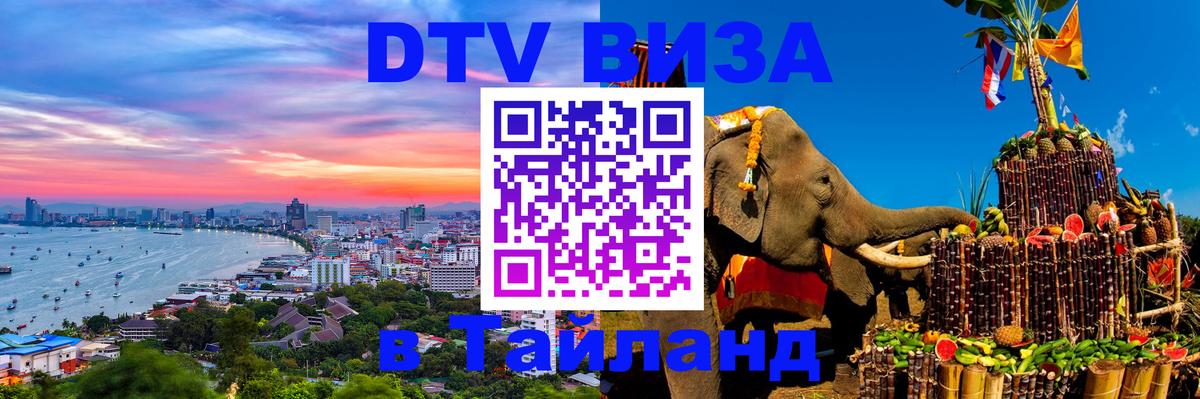 Оформление DTV визы под ключ: стоимость и тарифы, только загранпаспорт - 08.01.2026 